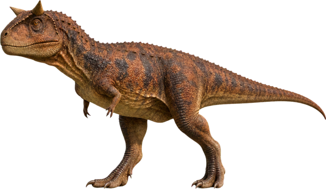 Carnotaurus with short horns, deep head, and tiny arms.
