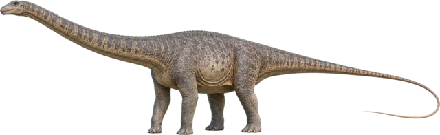 Diplodocus with long neck, slender body, and whip-like tail.