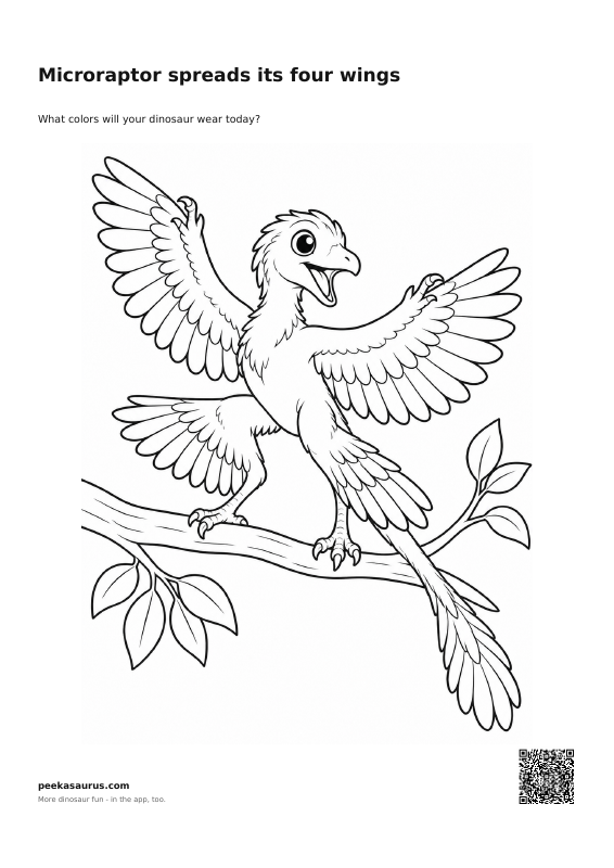 Microraptor spreads its four wings