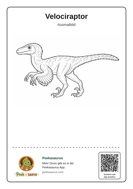 Velociraptor